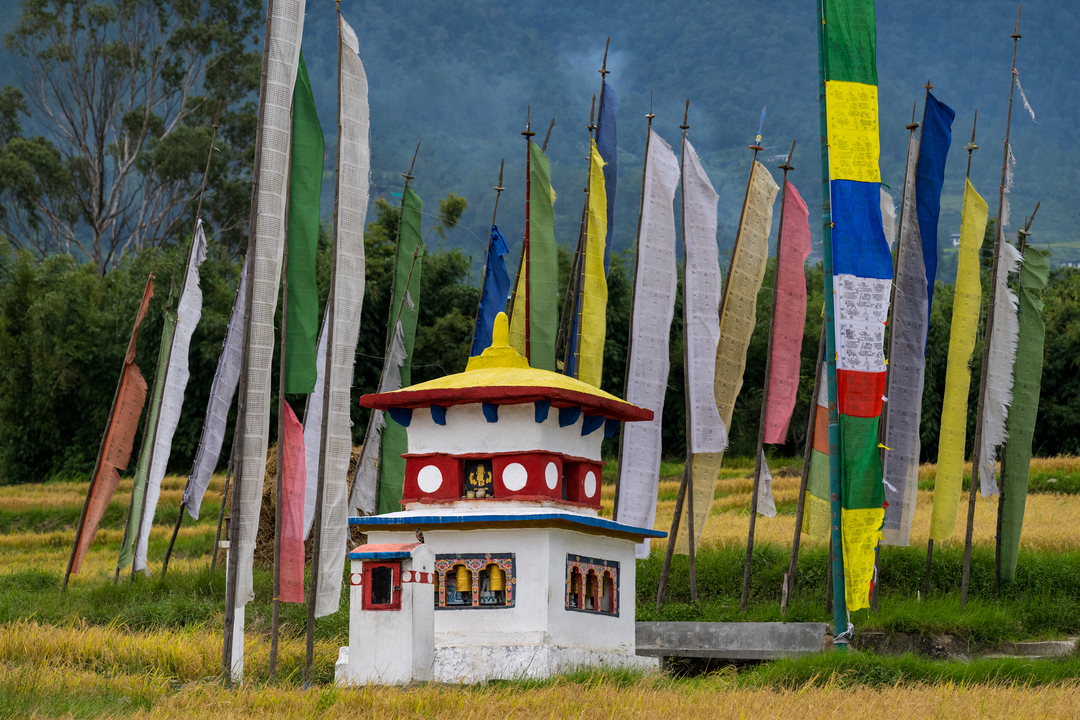 Punakha Cultural Tour