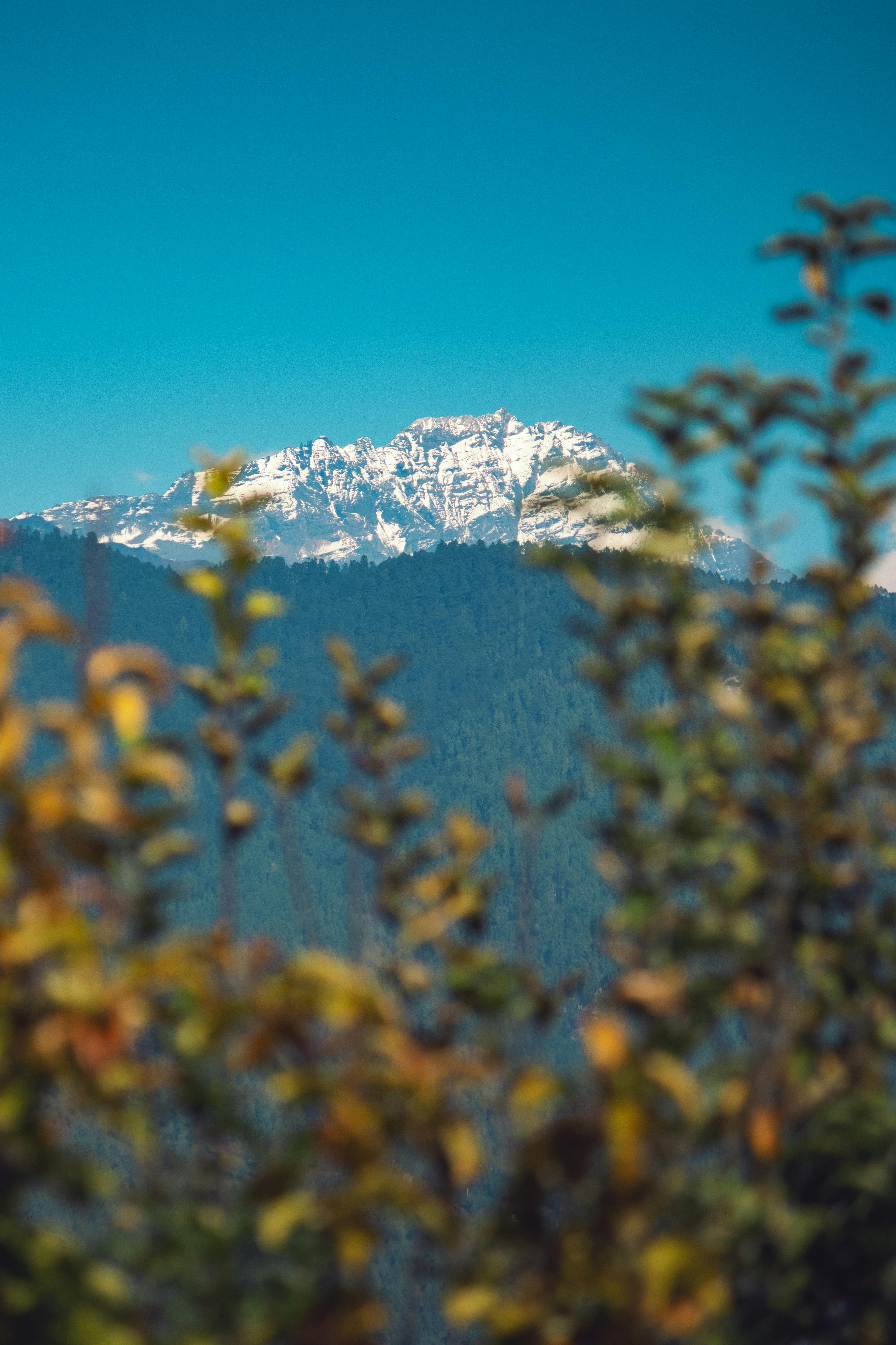 Snowman Trek Bhutan